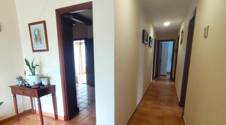 Cadiz - Chiclana de la Frontera - 459m2