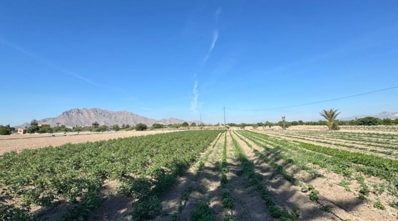 Alicante - Granja de Rocamora - 400000m2