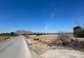 Casa de campo con terreno en venta en la España, Granja de Rocamora, ref: TR412194 foto