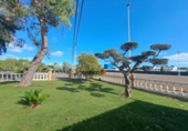 Chalet independiente con terreno en venta en la España, Guadasséquies, ref: TR158855 foto