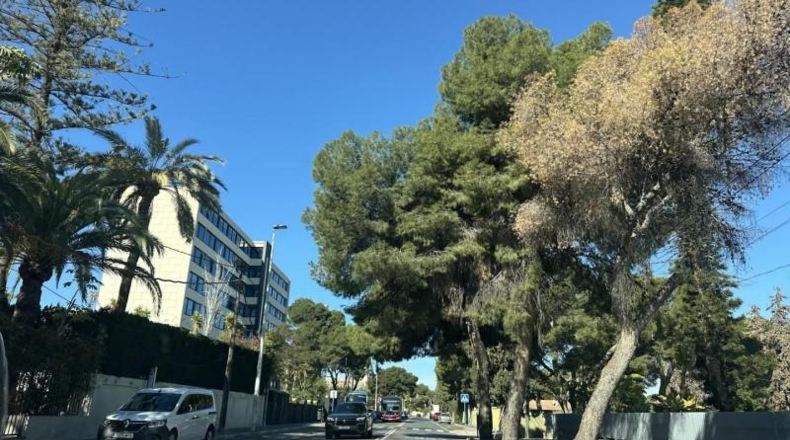 Аликанте - Alicante - 157m2
