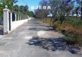 Detached villa with land for sale on España, Elche, ref: TR412208 photo