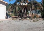 Detached villa with land for sale on España, Elche, ref: TR412208 photo