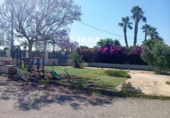 Detached villa with land for sale on España, Elche, ref: TR412208 photo