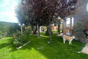 Foto 20