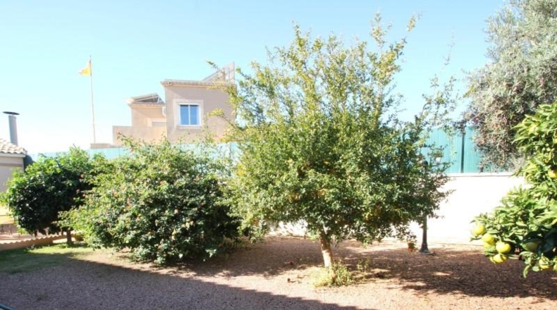Аликанте - Torrevieja - 830m2