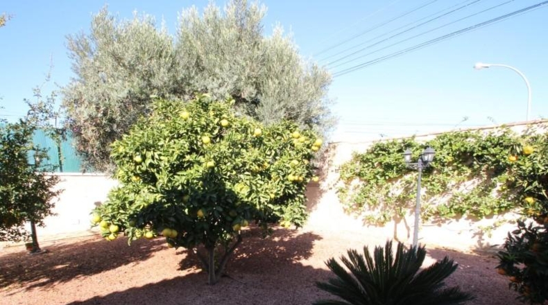 Аликанте - Torrevieja - 830m2