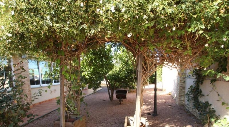 Аликанте - Torrevieja - 830m2