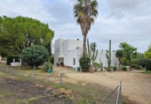 Rural estate for sale on España, Jerez, ref: TR299061 photo