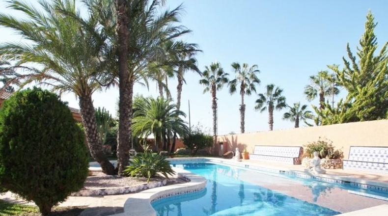 Alicante - Torrevieja - 2000m2