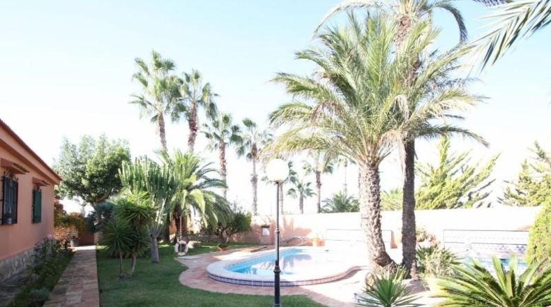 Alicante - Torrevieja - 2000m2