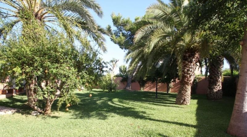 Alicante - Torrevieja - 2000m2
