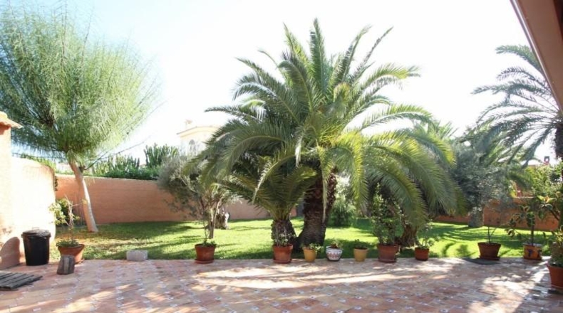 Alicante - Torrevieja - 2000m2