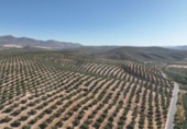 Non-developable land for sale on España, Albolote, ref: TR180499 photo