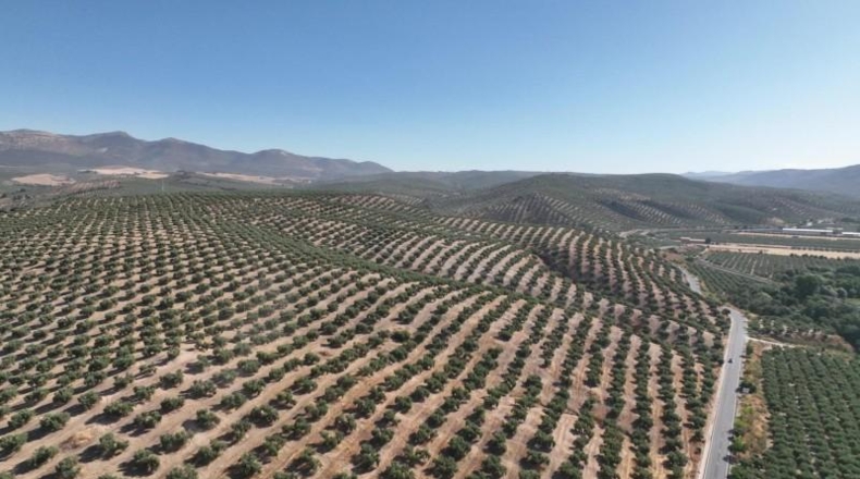 Granada - Albolote - 300000m2
