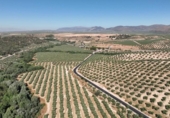 Non-developable land for sale on España, Albolote, ref: TR180499 photo
