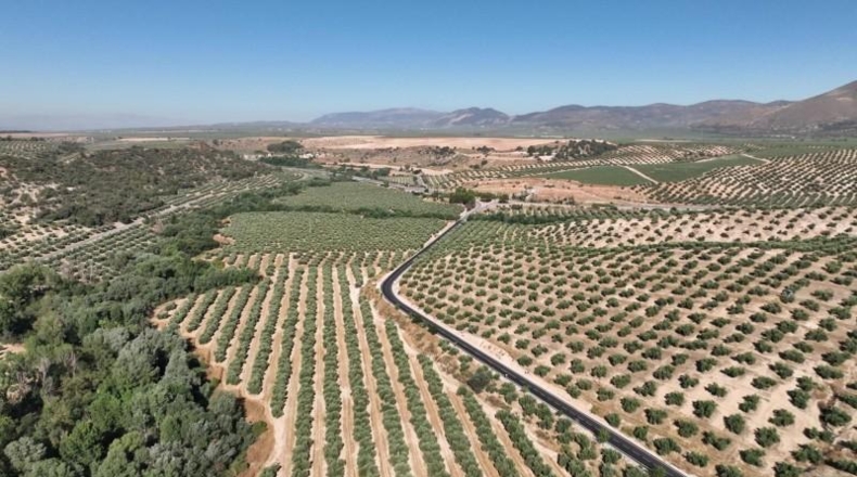 Granada - Albolote - 300000m2