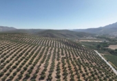 Non-developable land for sale on España, Albolote, ref: TR180499 photo