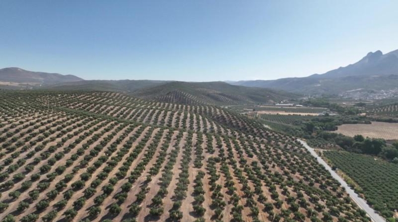 Granada - Albolote - 300000m2