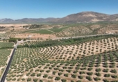 Non-developable land for sale on España, Albolote, ref: TR180499 photo