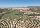 Non-developable land for sale on España, Albolote, ref: TR180499 photo