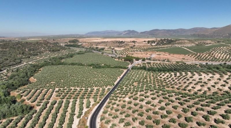 Granada - Albolote - 300000m2
