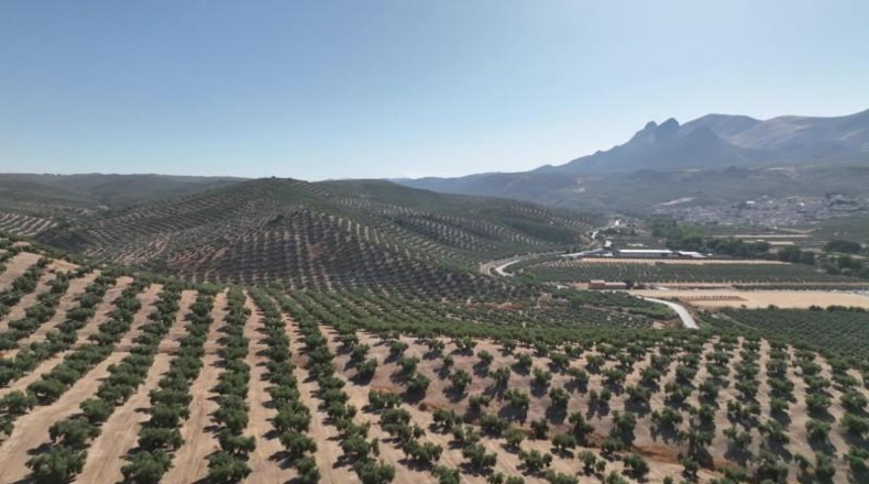 Granada - Albolote - 300000m2