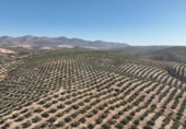Non-developable land for sale on España, Albolote, ref: TR180499 photo