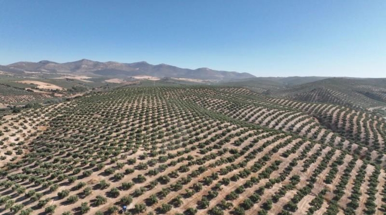 Granada - Albolote - 300000m2