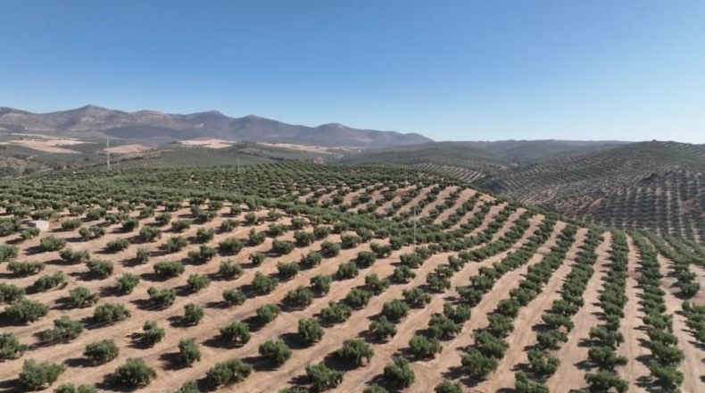Granada - Albolote - 300000m2