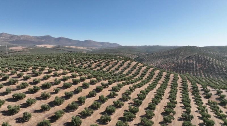 Granada - Albolote - 300000m2