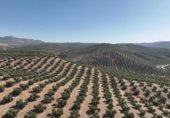 Non-developable land for sale on España, Albolote, ref: TR180499 photo