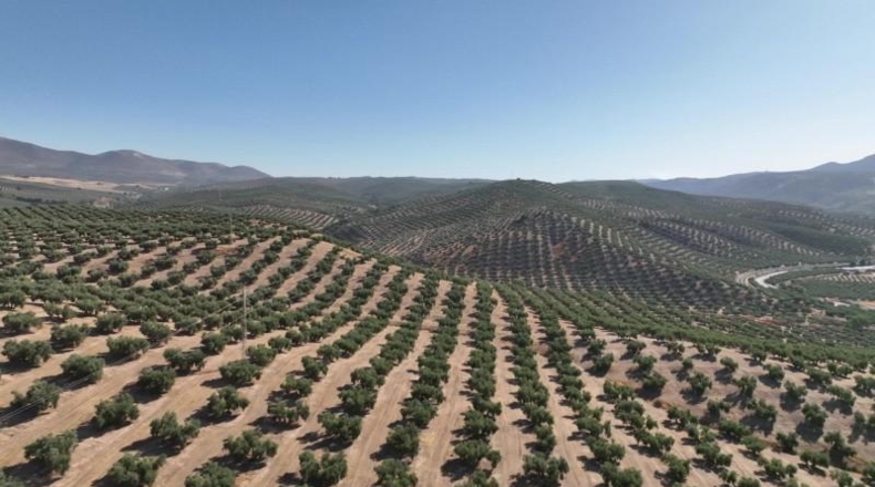 Granada - Albolote - 300000m2