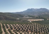 Non-developable land for sale on España, Albolote, ref: TR180499 photo