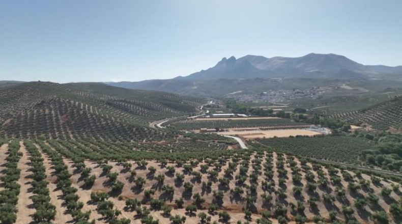 Granada - Albolote - 300000m2