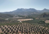 Non-developable land for sale on España, Albolote, ref: TR180499 photo