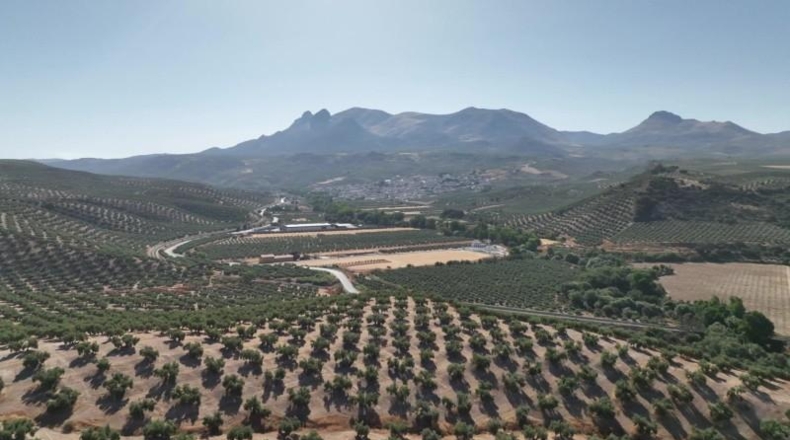 Granada - Albolote - 300000m2