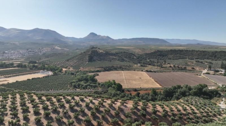 Granada - Albolote - 300000m2