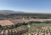 Non-developable land for sale on España, Albolote, ref: TR180499 photo