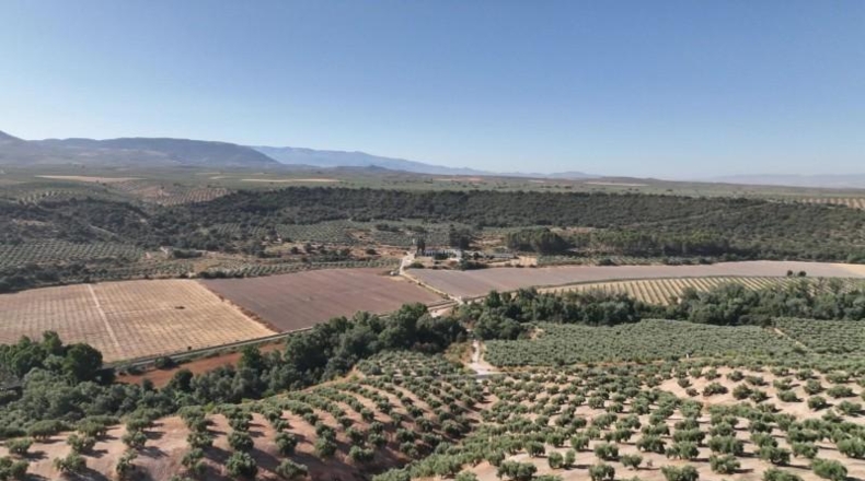 Granada - Albolote - 300000m2