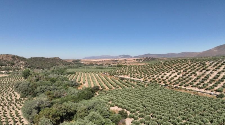 Granada - Albolote - 300000m2
