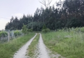 Дом с участком на продажу в городе Leiro. Фото