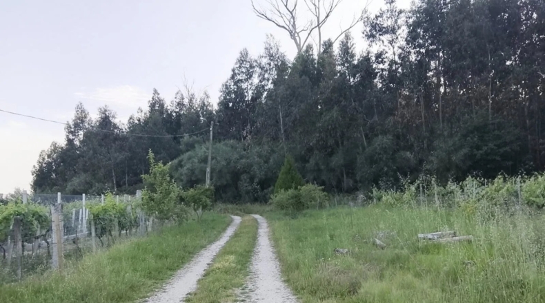 Orense - Leiro - 750m2