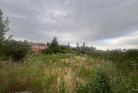 Sojuela 1000&nbsp;m²