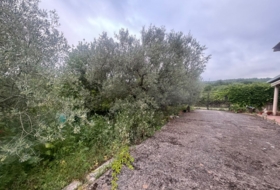 Sojuela 1000&nbsp;m²