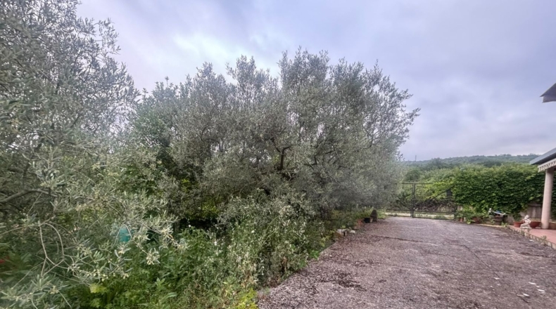 La Rioja - Sojuela - 1000m2