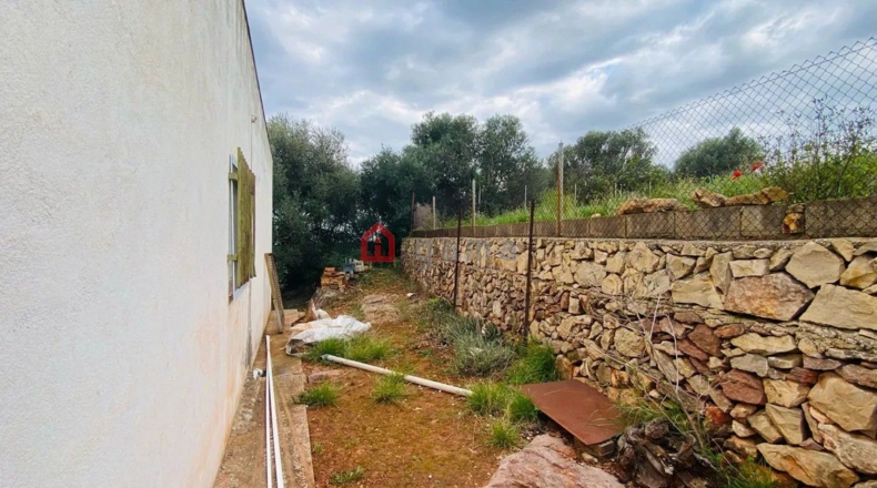 Castellón - L'Alcora - 207m2