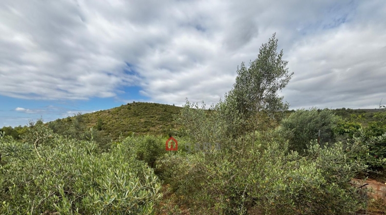 Castellón - Azuébar - 28873m2