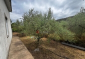 Detached villa with land for sale in Azuébar ref: TR412232 photo