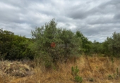 Detached villa with land for sale in Azuébar ref: TR412232 photo